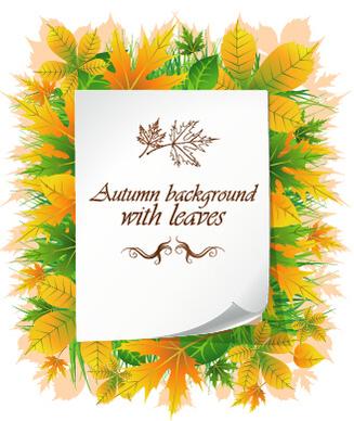 beautiful autumn leaves with paper background
