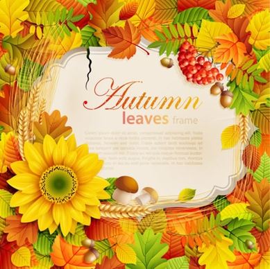 autumn background template elegant colorful flowers leaves decor