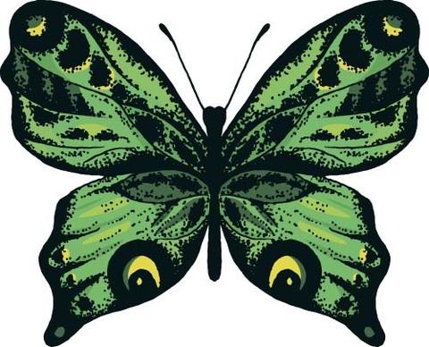 beautiful butterflies design vector