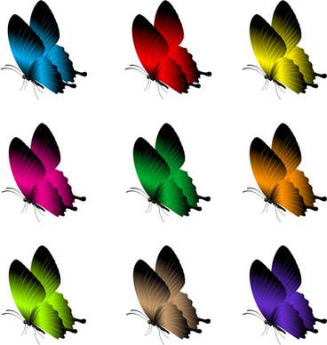 beautiful butterflies vector icons set
