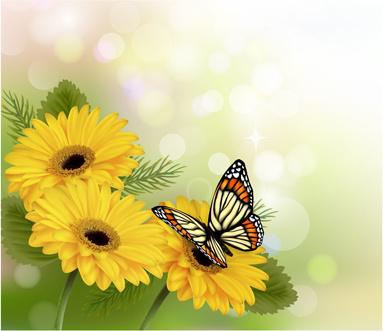 beautiful butterfly and flower vector background