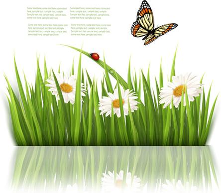 beautiful butterfly and green grass vector background
