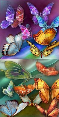 beautiful butterfly psd