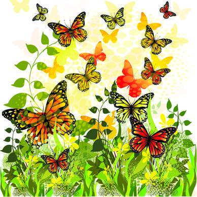 beautiful butterfly vector