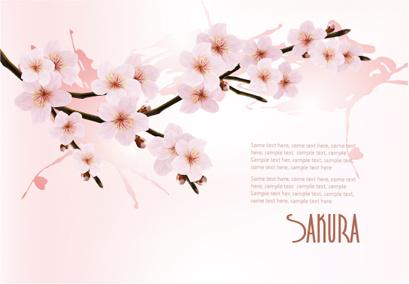 beautiful cherry vector background art