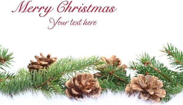beautiful christmas design elements 69 hd picture