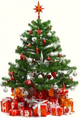 beautiful christmas tree 6 hd picture
