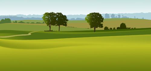beautiful fields landscapes vector set