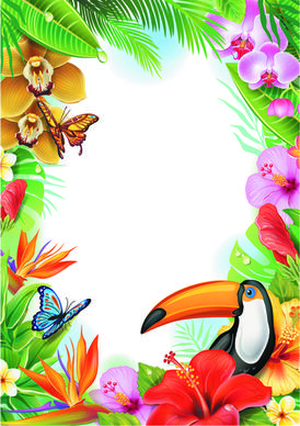 beautiful flowers and butterflies vector background