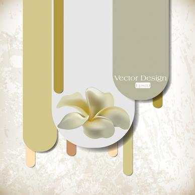 frangipani flower background elegant bright modern design