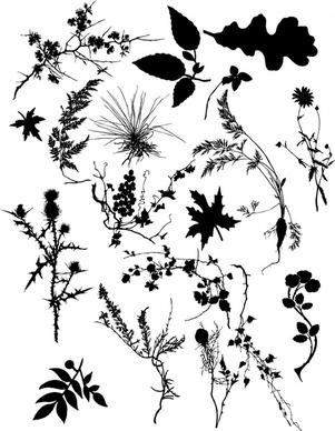 plants icons black white leaf branch sketch