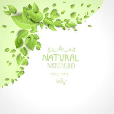 beautiful green leaves natural background vector
