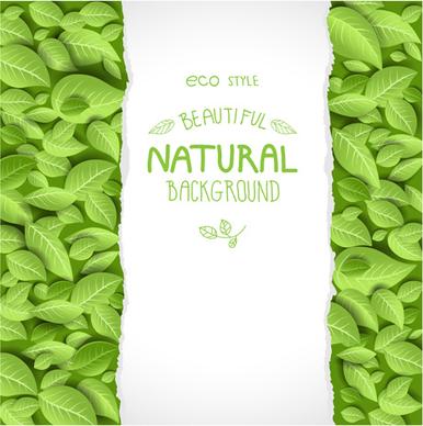 beautiful green leaves natural background vector