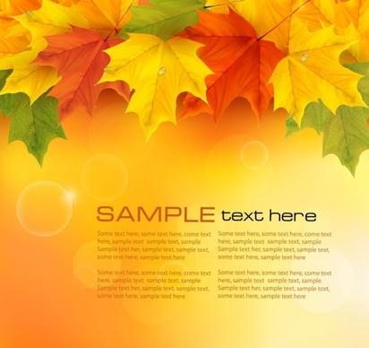 beautiful maple leaf background 05 vector