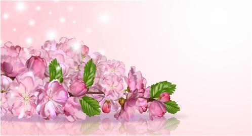 beautiful pink flowers vector background set