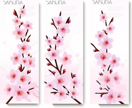 beautiful pink flowers vector banner