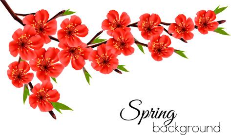 beautiful red flowers spring vectors background