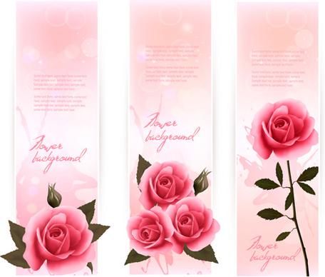 beautiful rose vertical banner vector