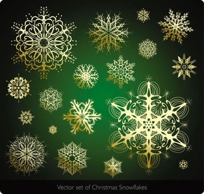 beautiful snowflake pattern 04 vector