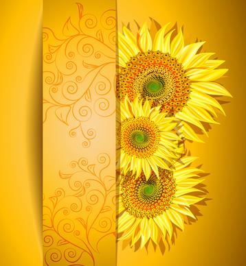 beautiful sunflowers background vector