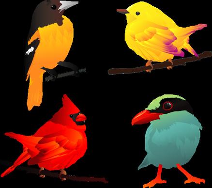 beautiful vector birds