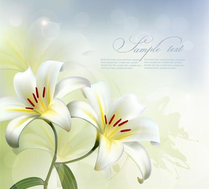 beautiful white flower vector background