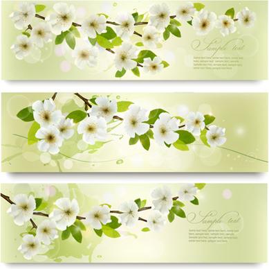 beautiful white flowers vector banner