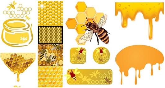 honey bee design elements golden combs liquid sketch