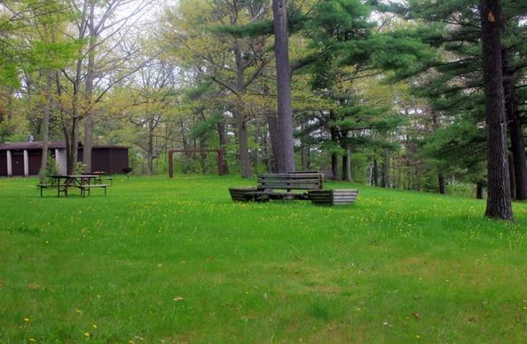 bench with grassy field at council grounds state park wisconsin