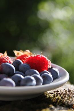 berry blackberry blueberry closeup color delicious