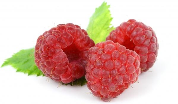 berry food fresh