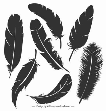 bird feather icons black silhouette sketch