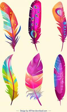 bird feathers icons colorful fluffy design