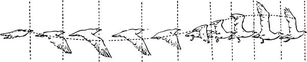 Bird Flight clip art