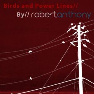 Birds and Power Lines