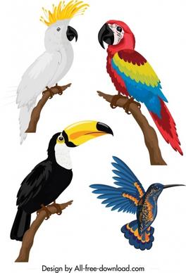 birds icons parrot woodpecker sketch colorful design