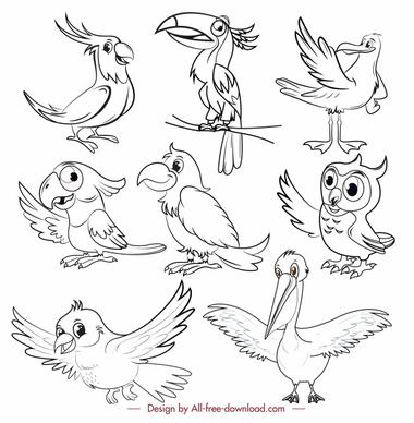 birds species icons black white cartoon sketch