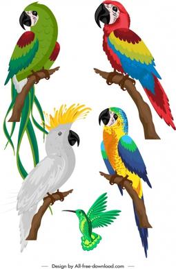 birds species icons colorful parrots woodpecker sketch