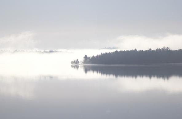 black and white calm dawn fog forest lake landscape