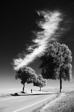 black and white cold contrast fog infrared landscape