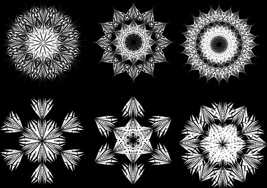 kaleidoscope elements black white symmetrical floral shapes