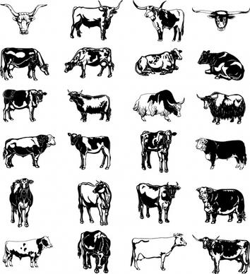 cow bull cattle icons black white retro sketch