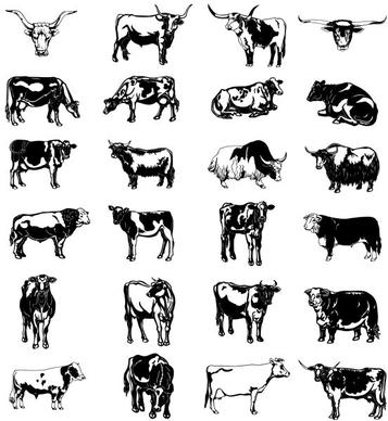 black and white picture series of a painted cow vector vector