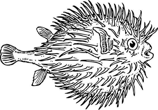 Blowfish clip art