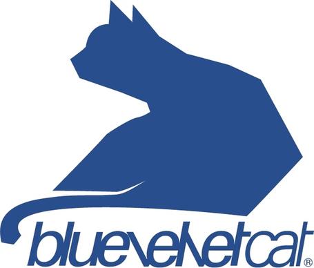 bluevelvet cat