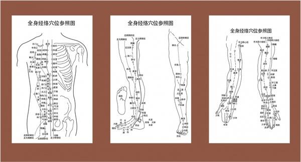 anatomy background sets traditional chinese design