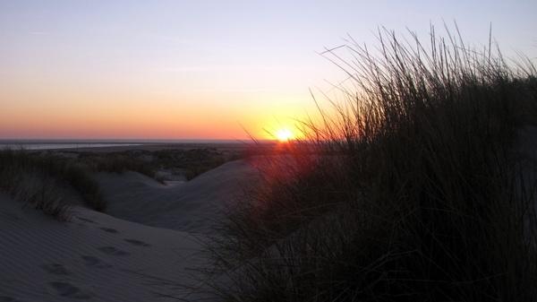 borkum sunset dunes