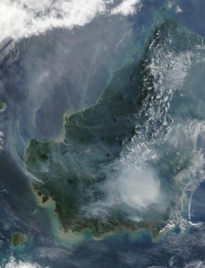 borneo forest fire satellite image