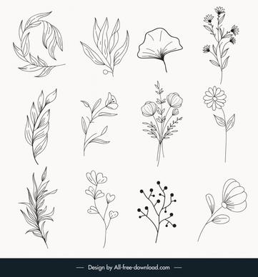 botanical minimal plants and flowers icons sets classical black white handdrawn