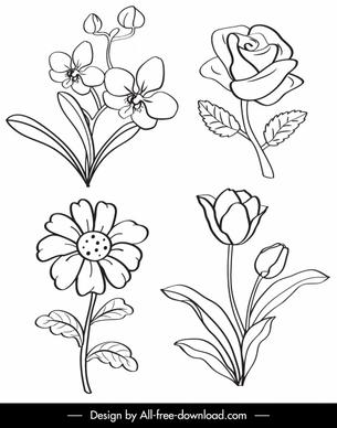 botany icons black white handdrawn sketch